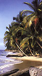 plage au gabon