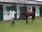 equitation mindoube