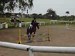equitation mindoube